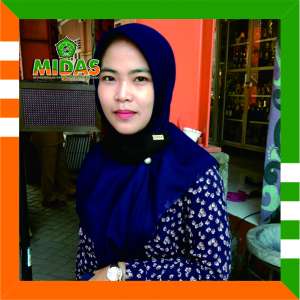 TRIANA MEY LINDA, S.Pd
